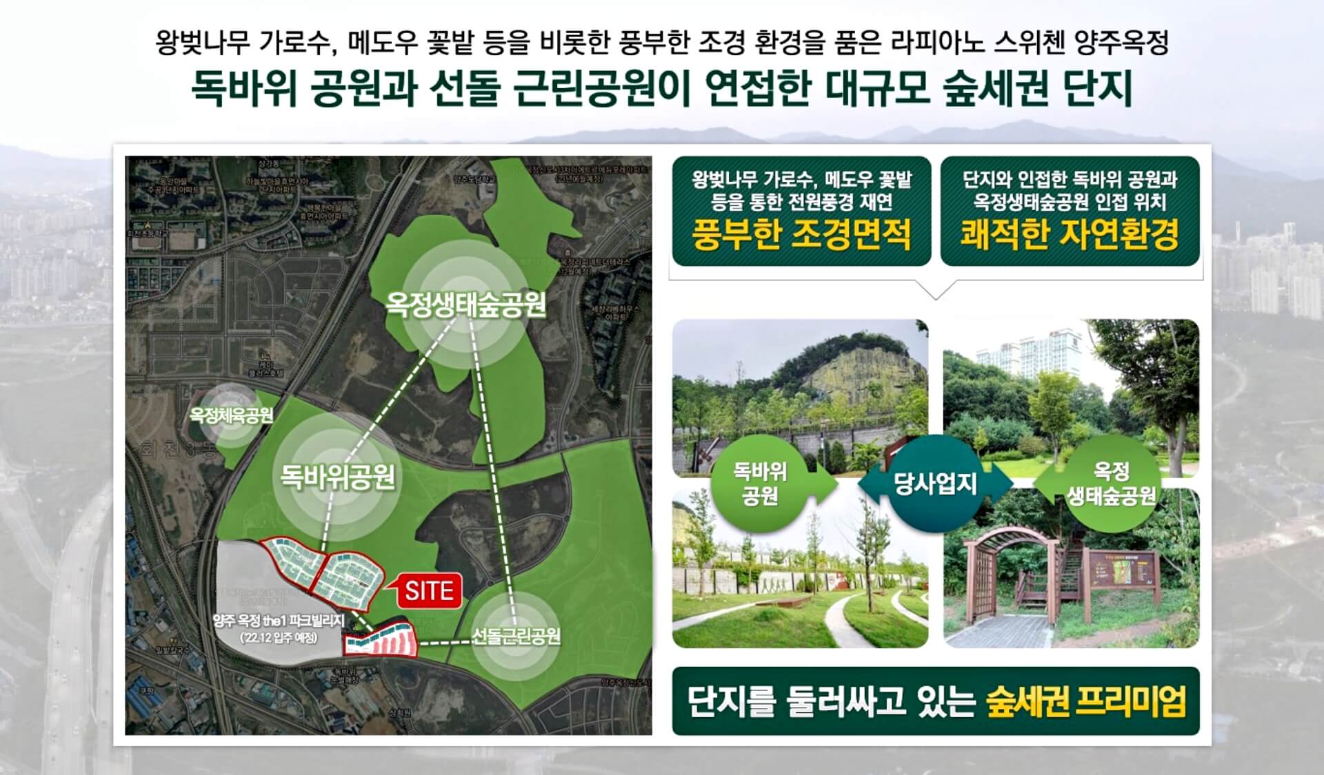 양주 옥정 라피아노